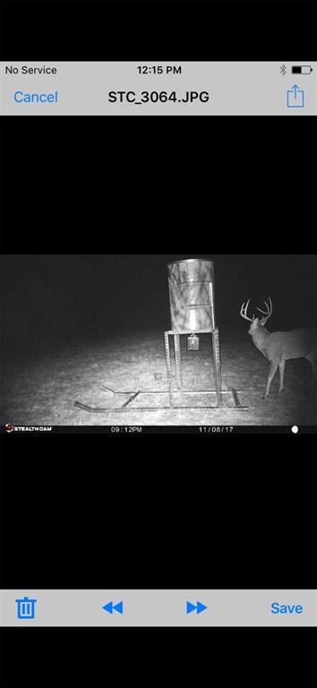 TBD Uz Rd N, Forestburg, TX 76239 - photo 6