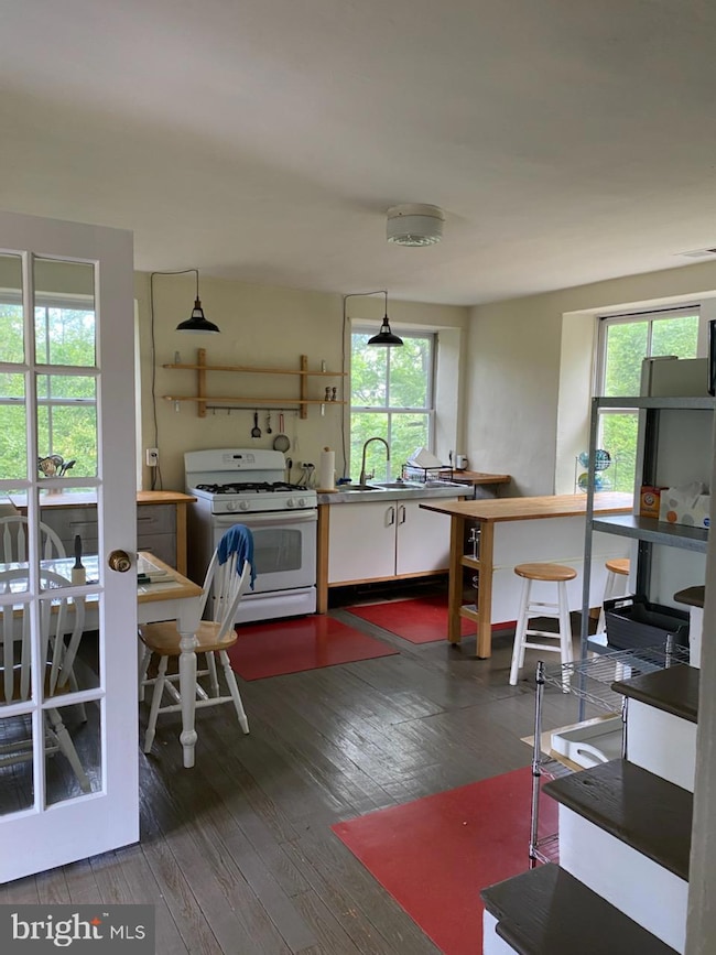 1651 Blue Ridge Farm Rd, Upperville, VA 20184 - photo 4