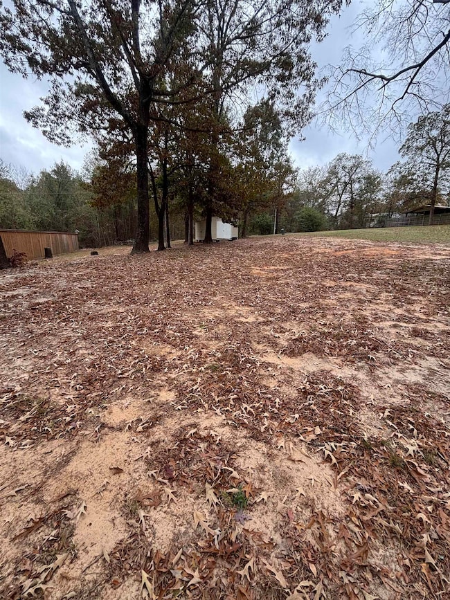 TBD Susan St, Liberty City, TX 75647 - photo 2