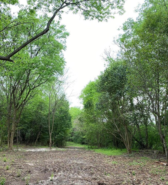 From Center, Left of Property to the front left in