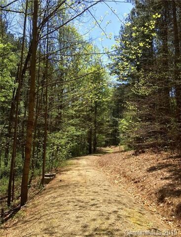 Forest Glen Walking Trails