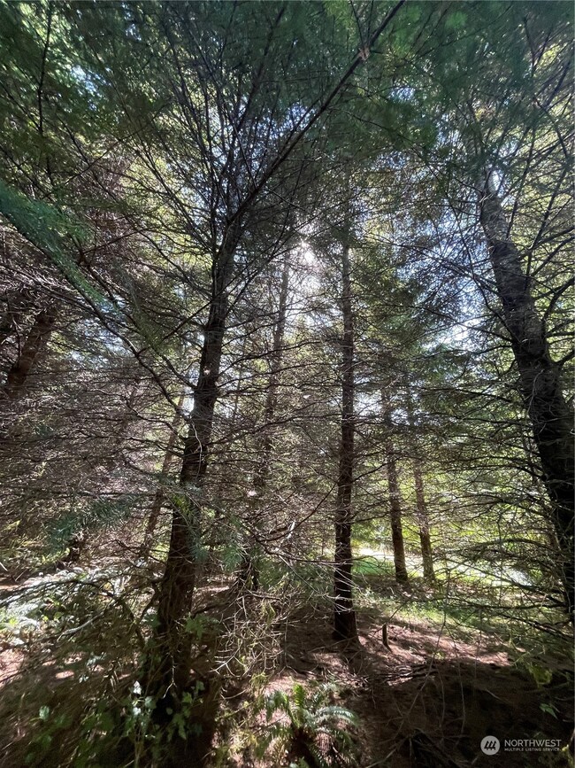 0 Wiest Rd unit NWM2155730, Longview, WA 98632 - photo 7