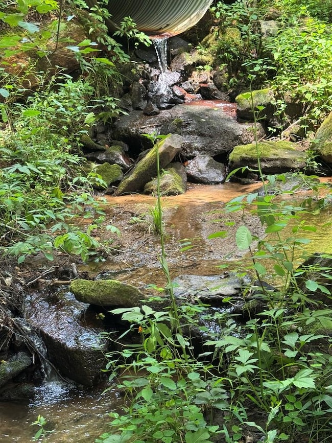 24 Doe Run, Suches, GA 30572 - photo 7