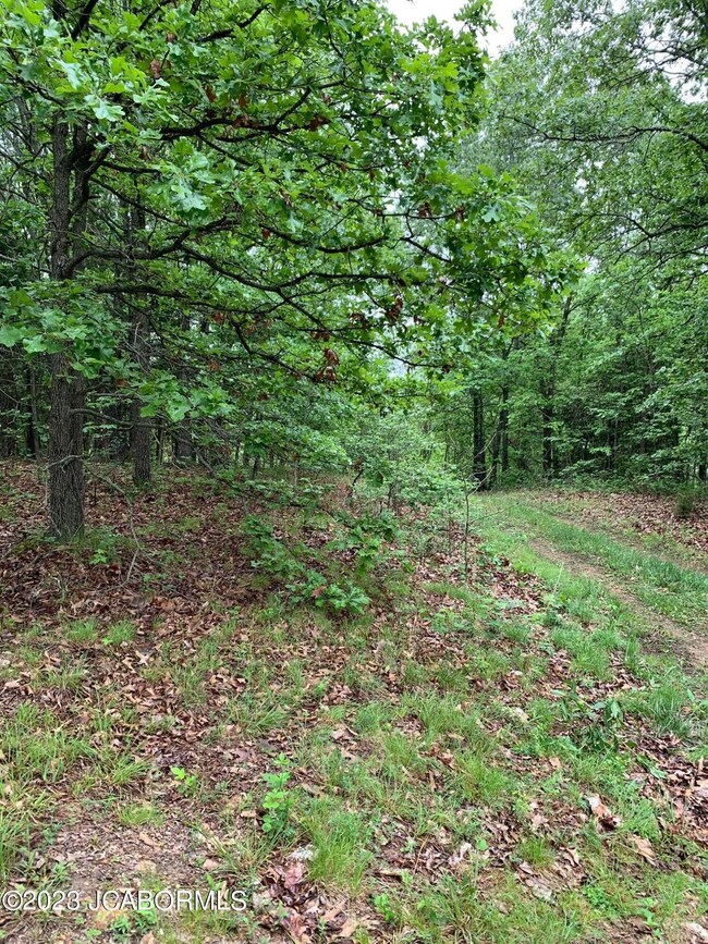 Land Photo 2