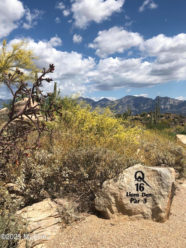 1194 W Tortolita Mountain Cir W unit 194, Tucson, AZ 85755 - photo 5