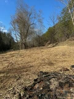 63.74 Acre Chestnut Valley Rd, Vonore, TN 37885 - photo 7