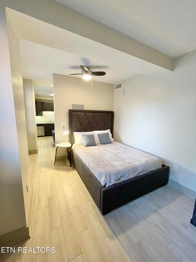 603 W Main St unit 503, Knoxville, TN 37902 - photo 5