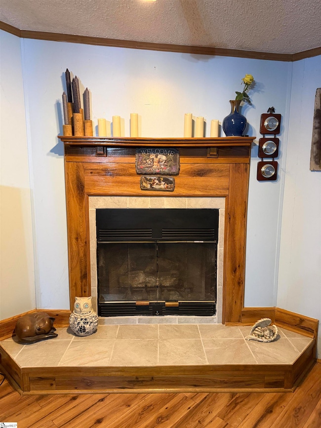 173 Payne Dr, Piedmont, SC 29673 - photo 3