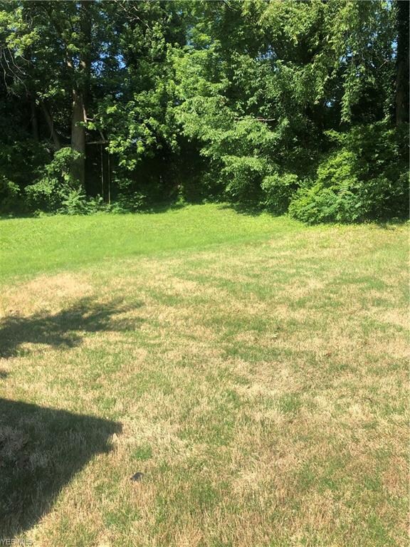 294 Watson St, Akron, OH 44305 - photo 2