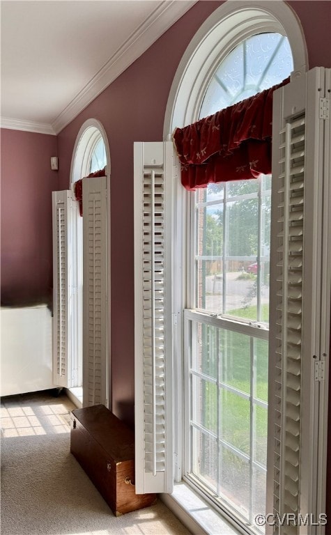 plantation shutters, crown molding and carpet in t