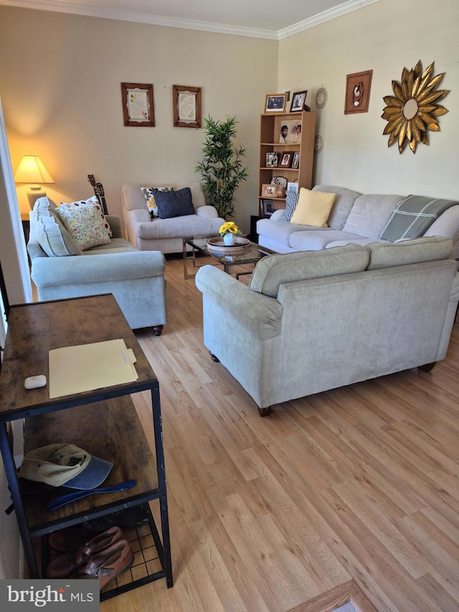 12512 Ofallon St, Silver Spring, MD 20904 - photo 5