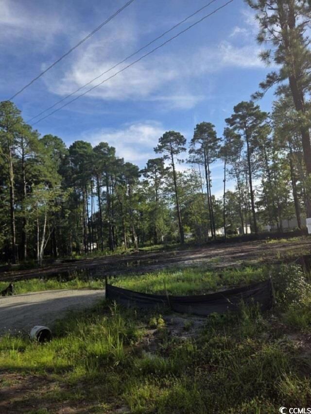 63 Pinewood Dr, Carolina Shores, NC 28467 - photo 3