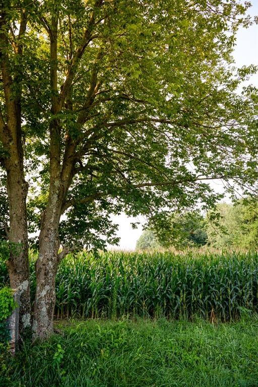 w W Base Rd, Arlington, IN 46104 - photo 4