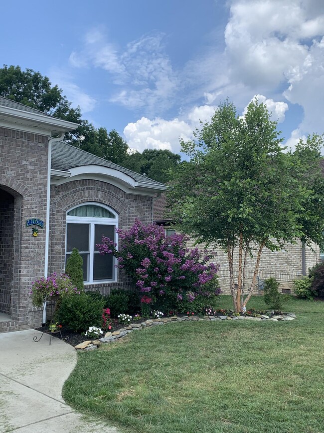 Photo owner supplied from the Spring