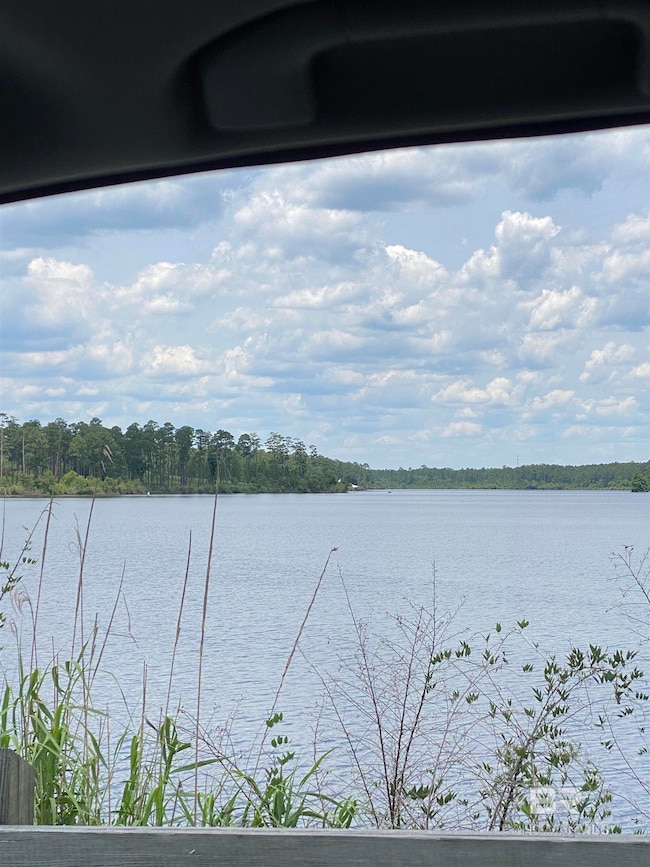 34 Steelwood Ridge Rd unit 34, Loxley, AL 36551 - photo 5