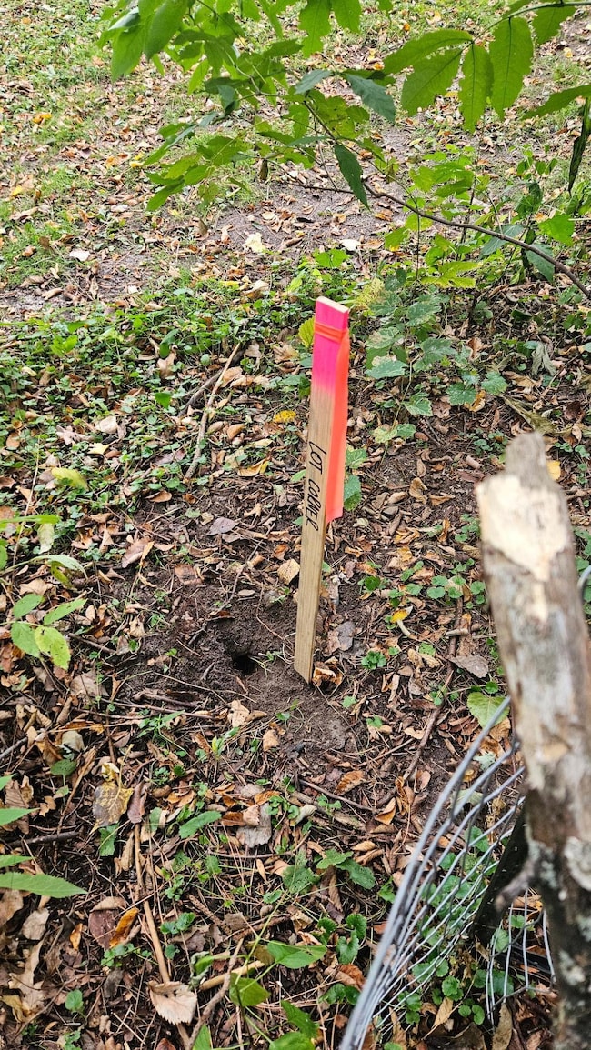 5920 Hodgson lot markers.jpg