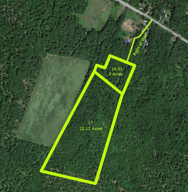 Satellite View