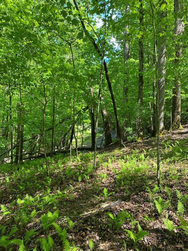 L409 Summit Ln, Ellijay, GA 30540 - photo 6