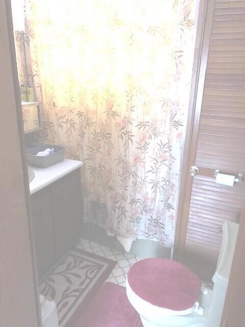 Wildcat Run Bathroom II