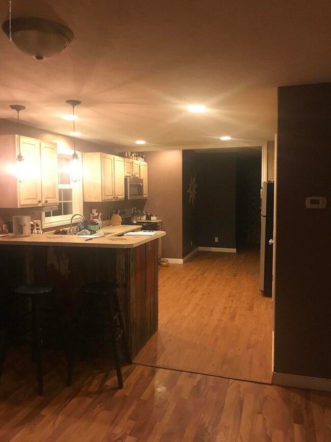 335 E Fargo St, Ionia, MI 48846 - photo 4