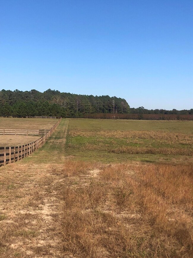 View from West side of lots