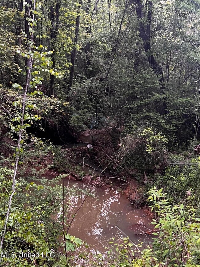 1923 Attala Rd, Goodman, MS 39079 - photo 5