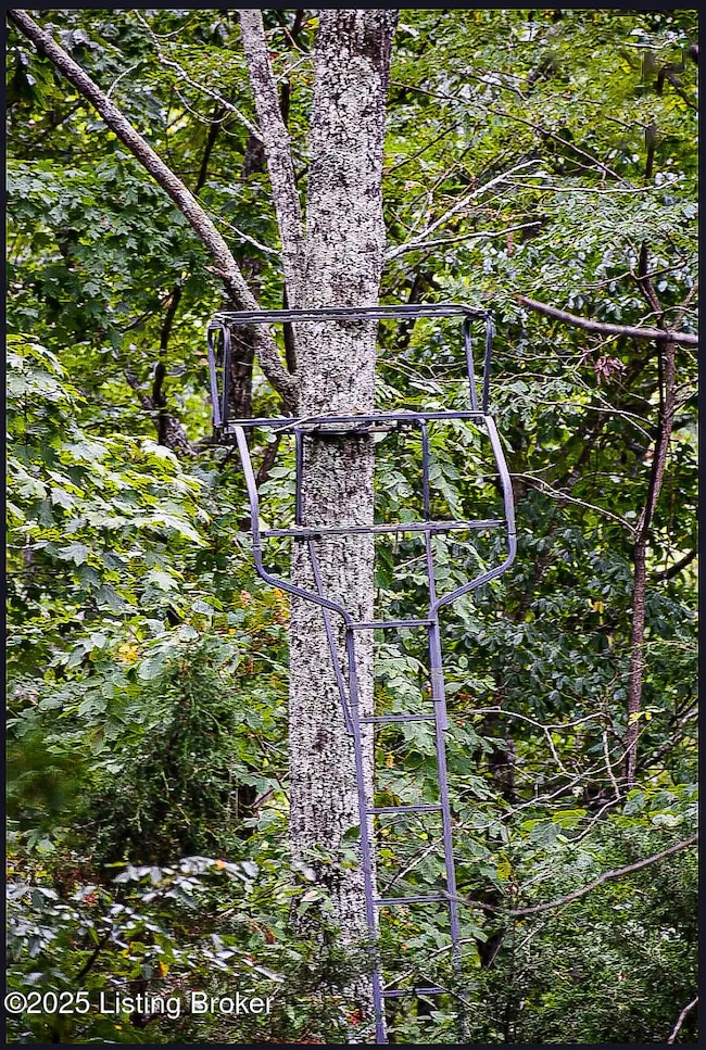 0000 Muse Rd, Sulphur Well Historic District, KY 42129 - photo 3