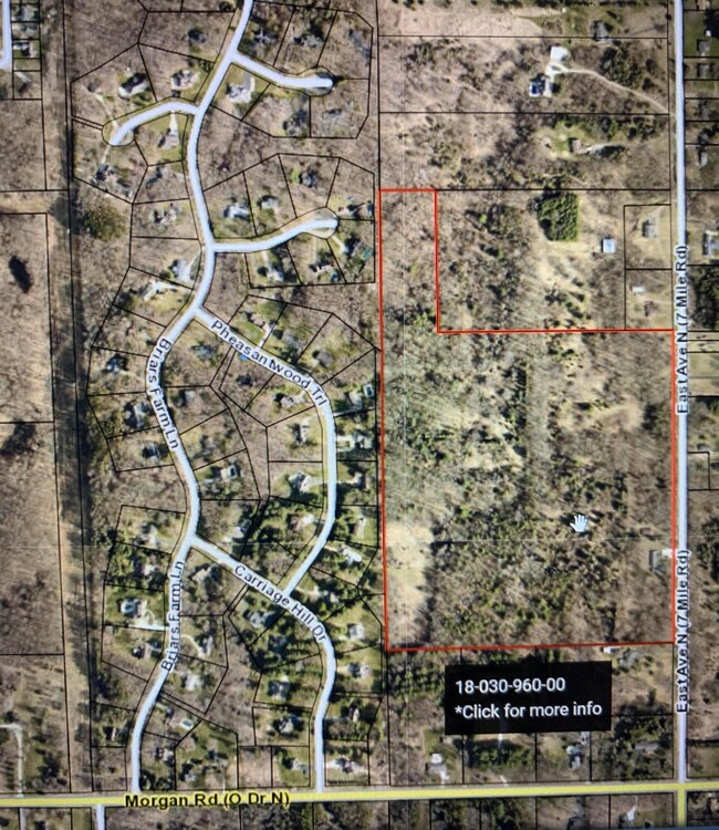 19687 East Ave N, Battle Creek, MI 49017 - photo 6