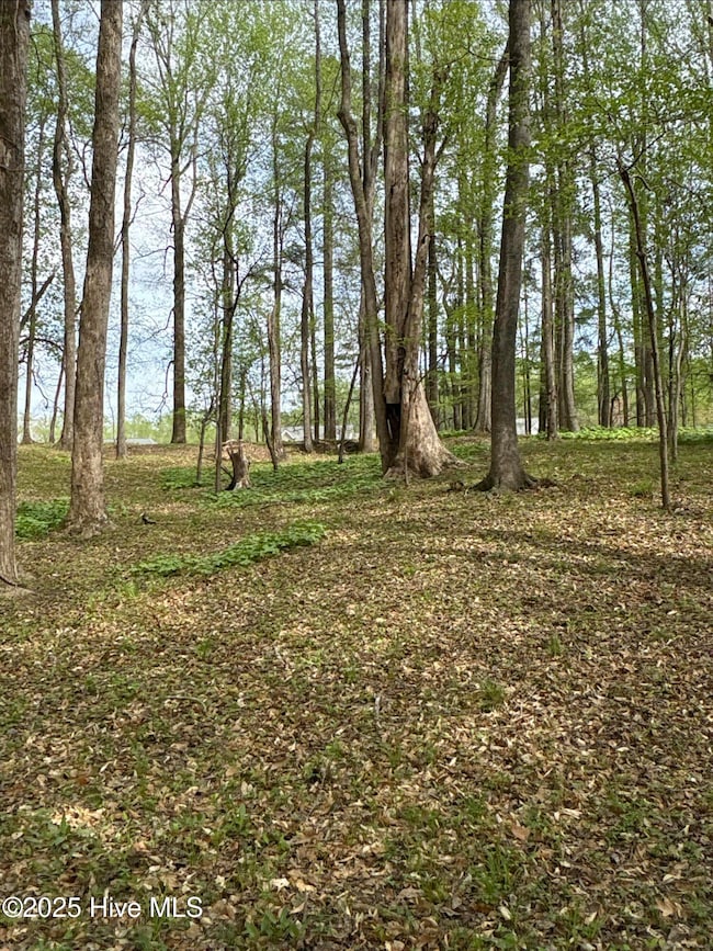 photo (4)