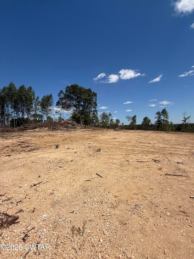 0 Whiskey Ridge Rd, Paris, TN 38242 - photo 4