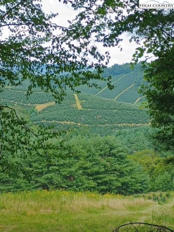 TBD Elk Knob Rd, Laurel Springs, NC 28644 - photo 5