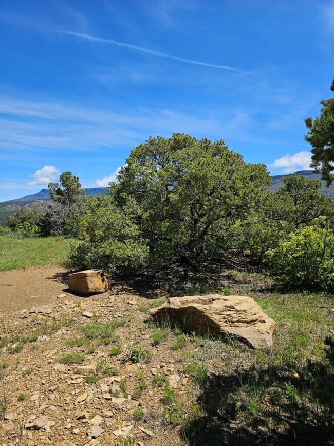 0 Alpine Meadows Dr unit F42 23-677, Trinidad, CO 81082 - photo 6