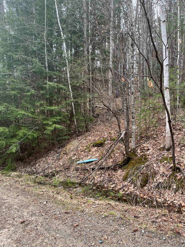 22-3 Morrill Cir, Campton, NH 03223 - photo 2