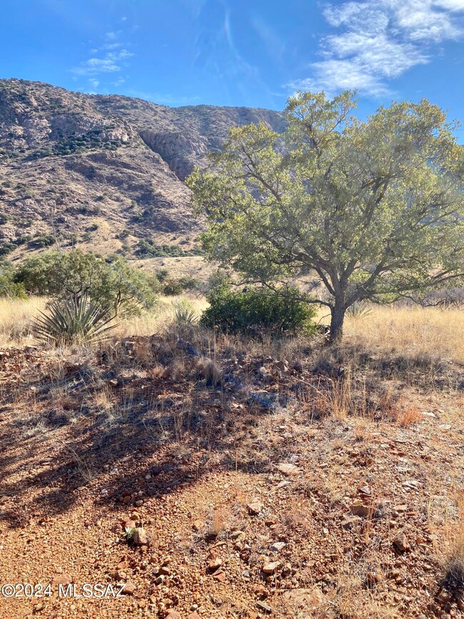 Hannon Ranch; Road View3; 022522;
