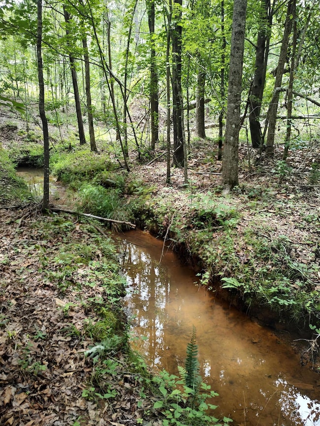 IMG_20250611_133513239_HDR