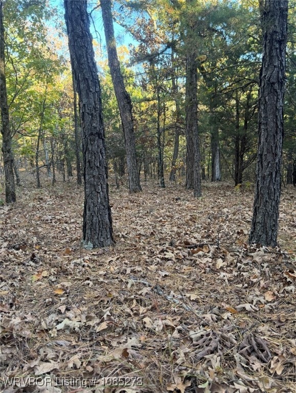 TBD Bengal Rd, Talihina, OK 74571 - photo 5