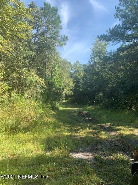 4133 Osceola Trail, Middleburg, FL 32068 - photo 6