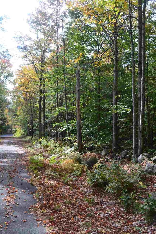 10 Dodge Hill Rd, Windsor, NH 03244 - photo 5