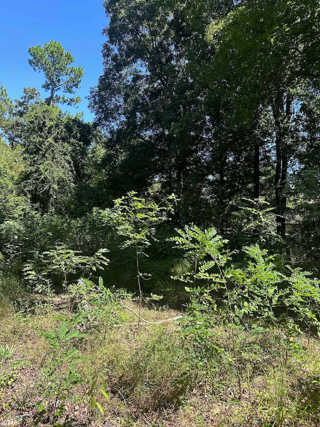 View of nature
