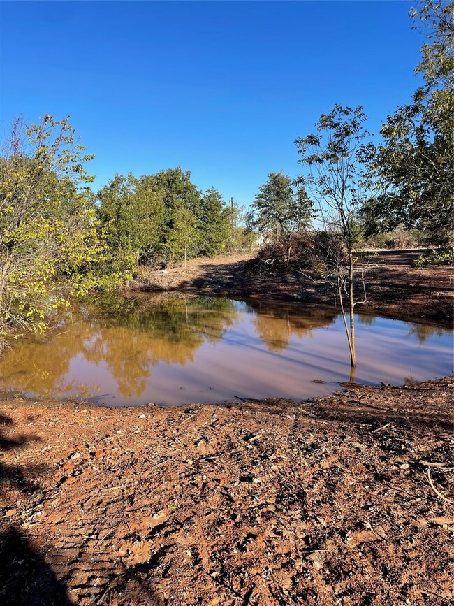 901 Erwin Rd, Poolville, TX 76487 - photo 5