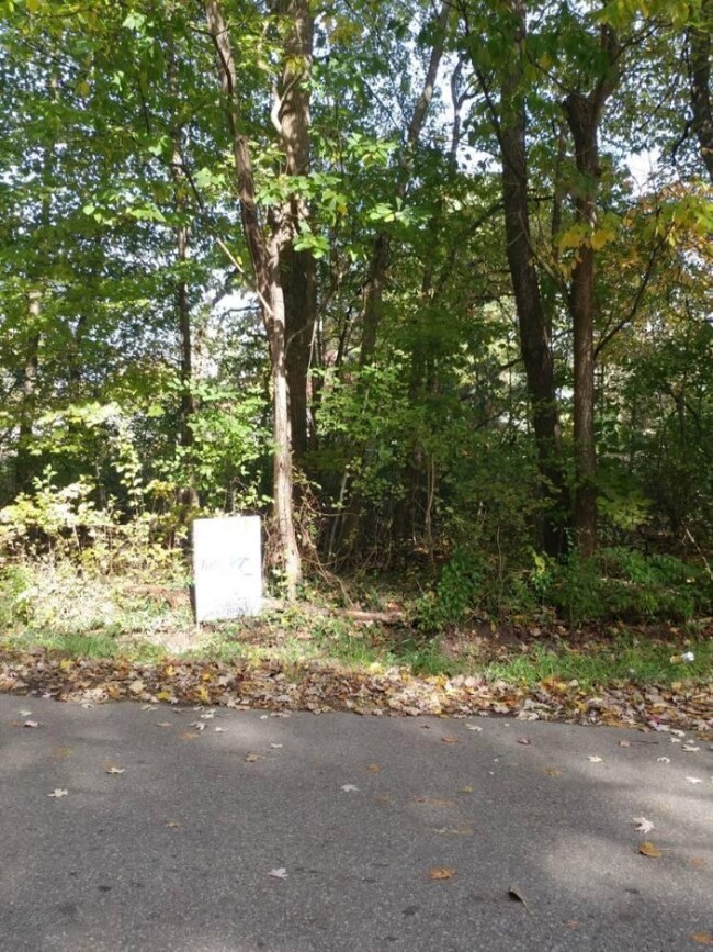 0 V L E Berrien Lot 3, Paw Paw, MI 49079 - photo 2