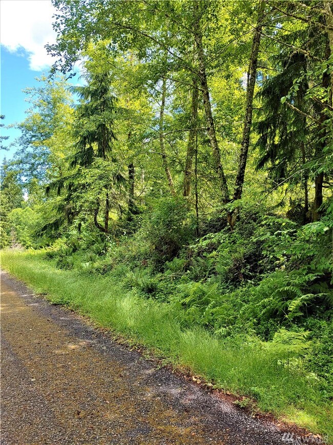 12816 & 12820 96th St Ct, Anderson Island, WA 98303 - photo 5