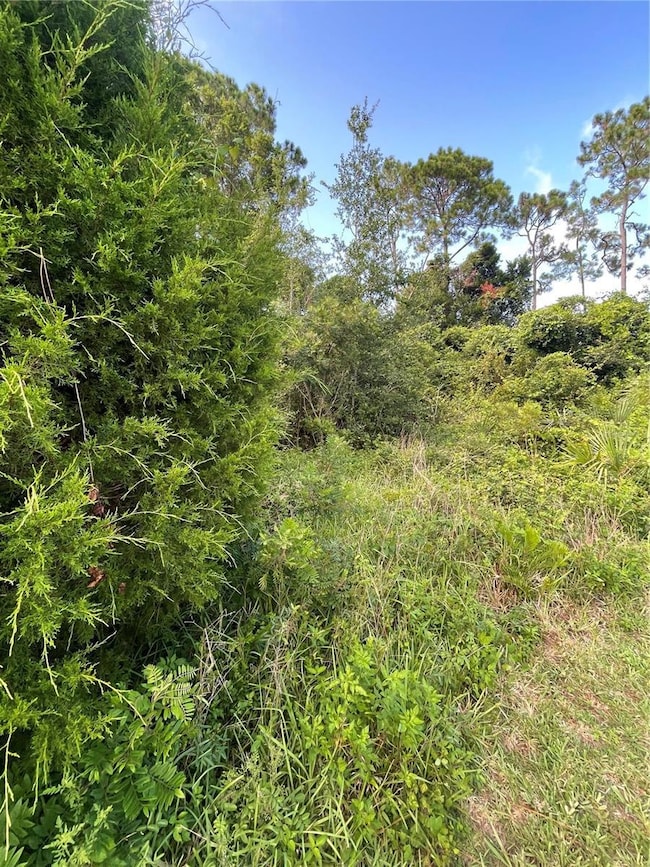 7 Birchfield Place, Palm Coast, FL 32137 - photo 3