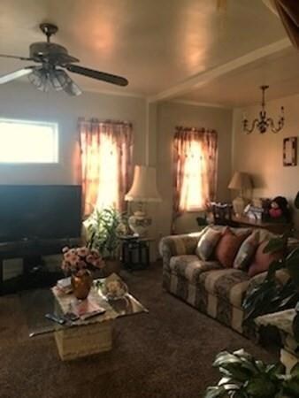 15 Ashton St, Dorchester Center, MA 02124 - photo 7