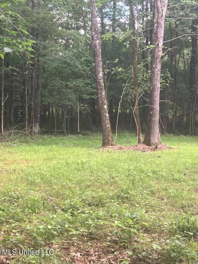 Open Area