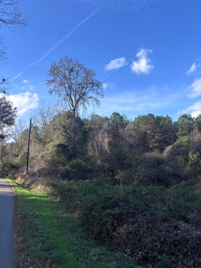 00 Jones Rd, Foxworth, MS 39483 - photo 4