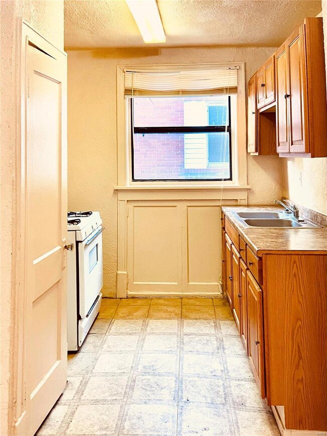 4735 Palm St, Saint Louis, MO 63115 - photo 3