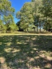 000 E State Highway Yy, Strafford, MO 65757 - photo 3