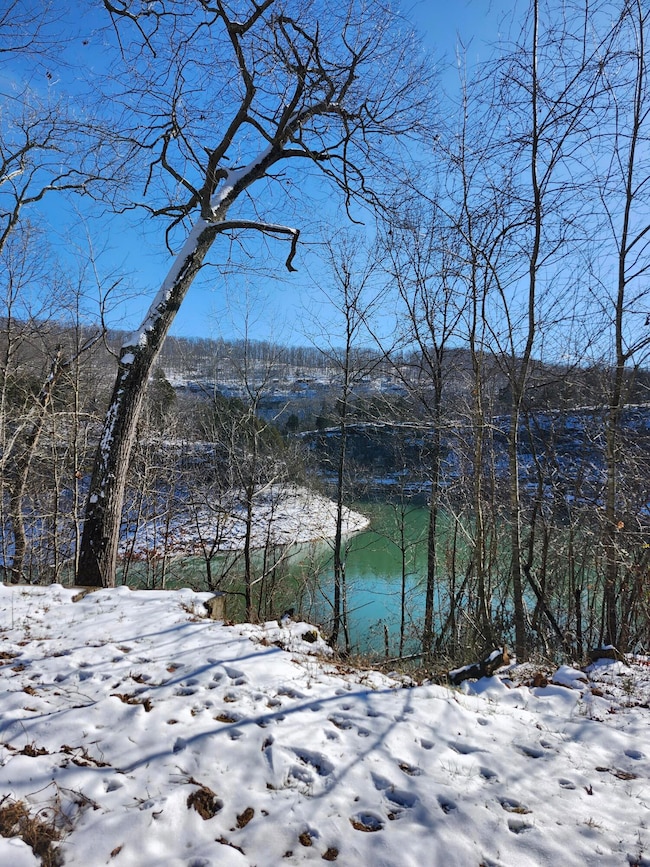 Lakeview winter 2