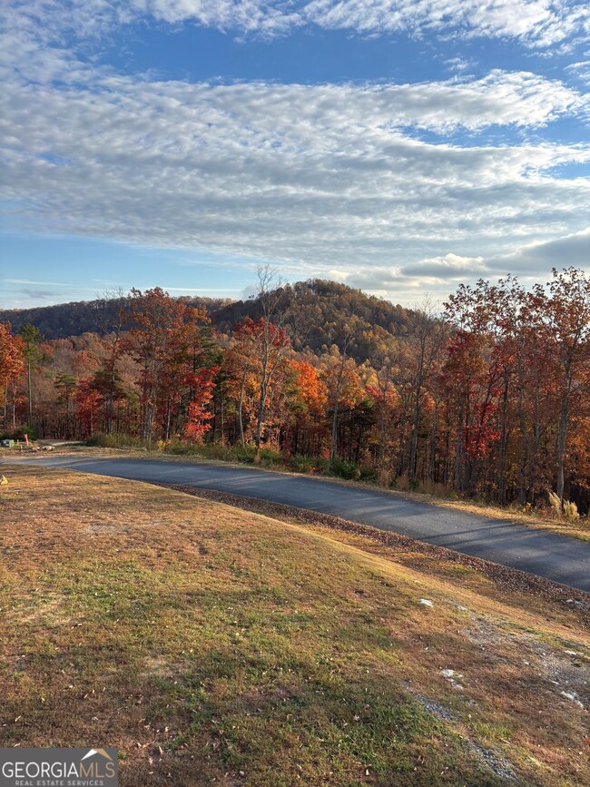 LOT 447 Woodward Way, Talking Rock, GA 30175 - photo 7
